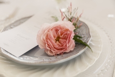 Garden romance: 10476 - WeddingWise Lookbook - wedding photo inspiration